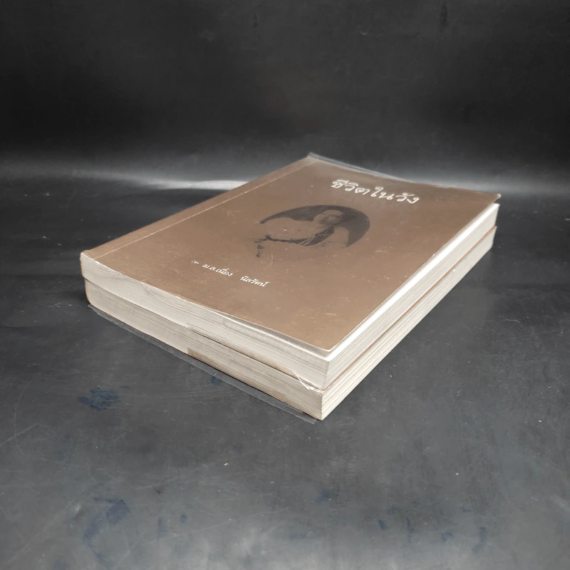ชีวิตในวัง เล่ม 1-2 - ม.ล.เนื่อง นิลรัตน์ รูปที่ 4