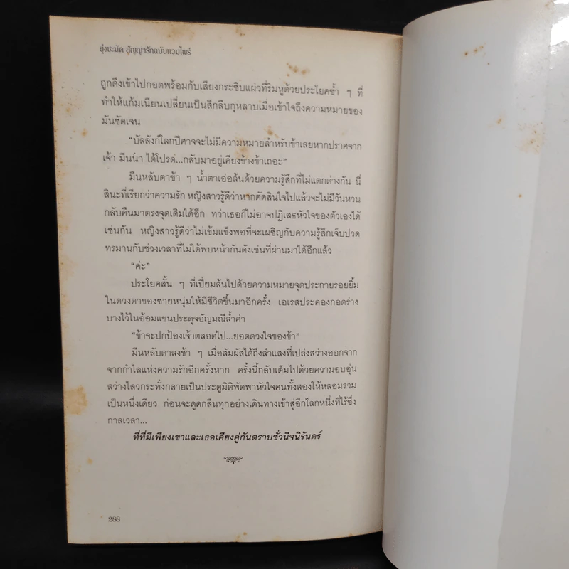 ยุ่งชะมัดสัญญารักฉบับแวมไพร์ - จินนี่ จินนี่ รูปที่ 7