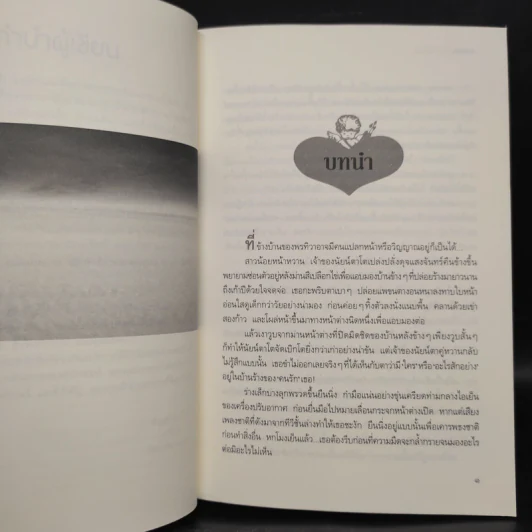 ล่าหัวใจสุดปลายฟ้า - มารีอา รูปที่ 6