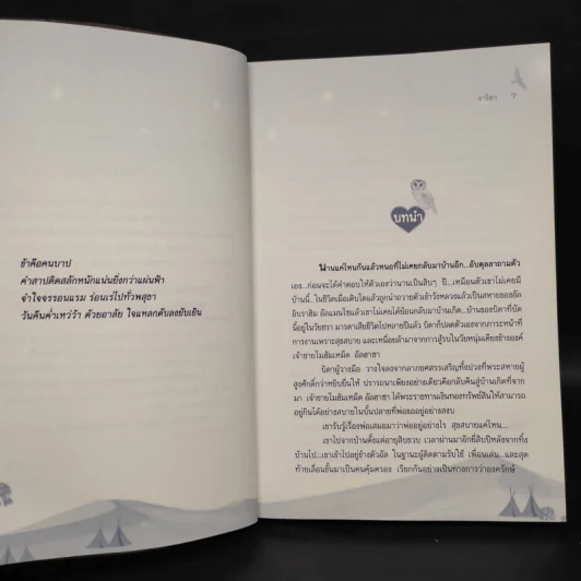 องครักษ์พิทักษ์ใจ - อาริตา รูปที่ 6