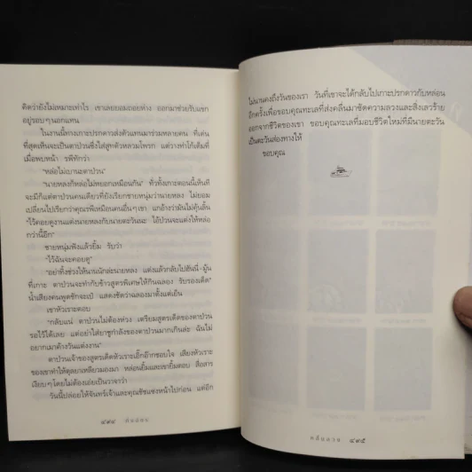 คลื่นลวง - กิ่งฉัตร รูปที่ 7
