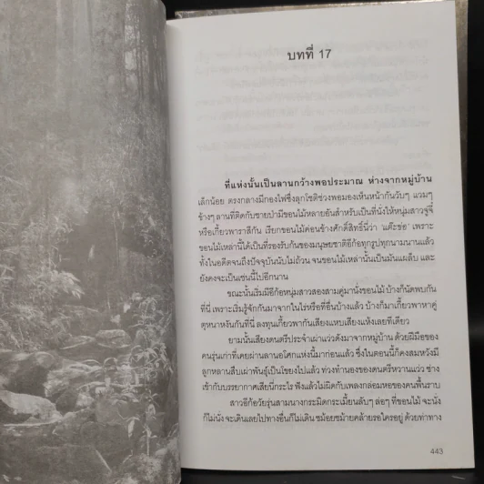 จอมใจสมิงไพร ภาค 1 ทิวะนคร 2 เล่มจบ - สิงขร รูปที่ 7