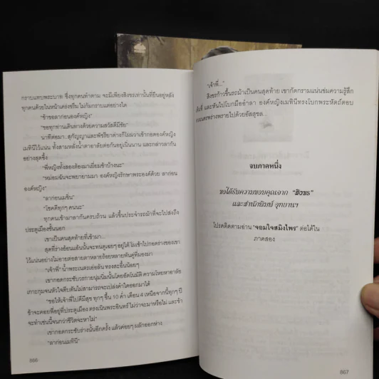 จอมใจสมิงไพร ภาค 1 ทิวะนคร 2 เล่มจบ - สิงขร รูปที่ 8