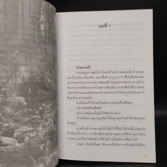 จอมใจสมิงไพร ภาค 1 ทิวะนคร 2 เล่มจบ - สิงขร รูปที่ 6