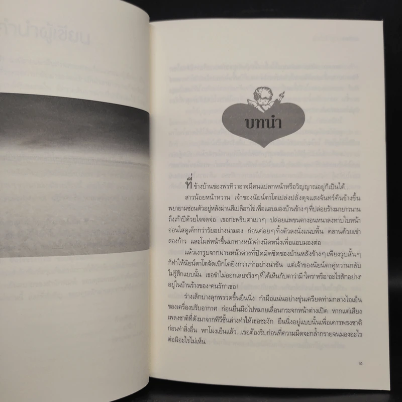 ล่าหัวใจสุดปลายฟ้า - มารีอา รูปที่ 6