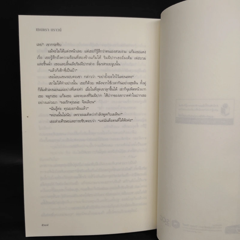 ฆาตกรรมสลับรัก The Switch - ซานดร้า บราวน์ รูปที่ 7
