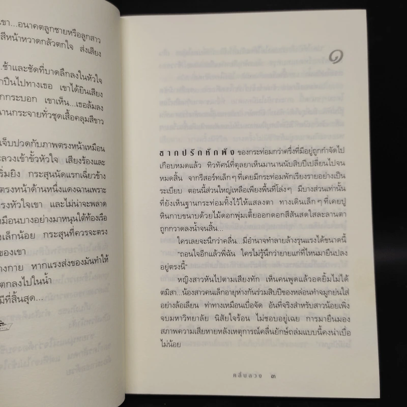 คลื่นลวง - กิ่งฉัตร รูปที่ 6