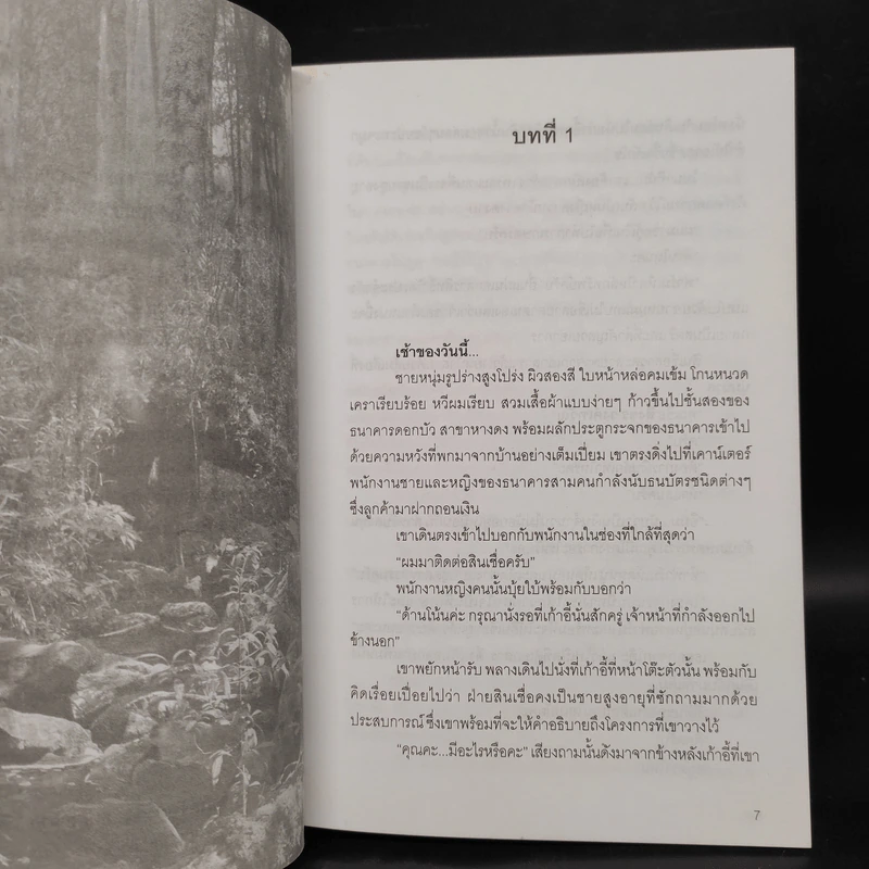 จอมใจสมิงไพร ภาค 1 ทิวะนคร 2 เล่มจบ - สิงขร รูปที่ 6
