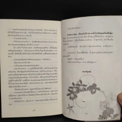 ยอดรักผู้กอง - กาญจนา นาคนันทน์ รูปที่ 7