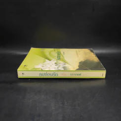 ลมซ่อนรัก - นราเกตต์ รูปที่ 3