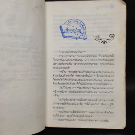 มนต์จันทรา - กิ่งฉัตร รูปที่ 7