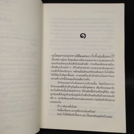 ลมซ่อนรัก - นราเกตต์ รูปที่ 6