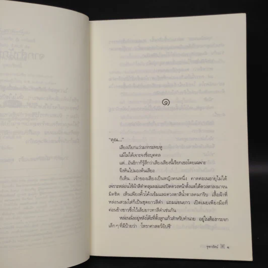 ลำนำต่างภพ - จุฑารัตน์ รูปที่ 6