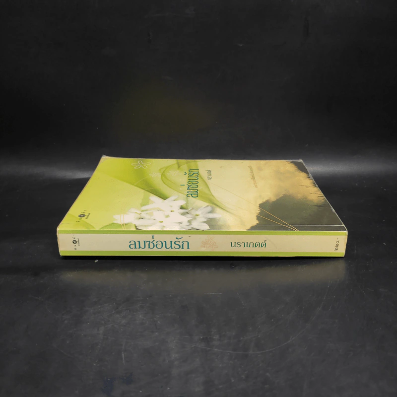 ลมซ่อนรัก - นราเกตต์ รูปที่ 3