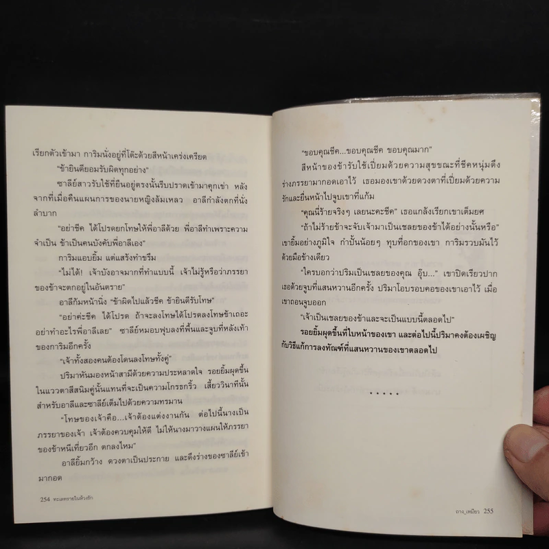 ทะเลทรายในห้วงรัก - ถาง_เหมียว รูปที่ 7