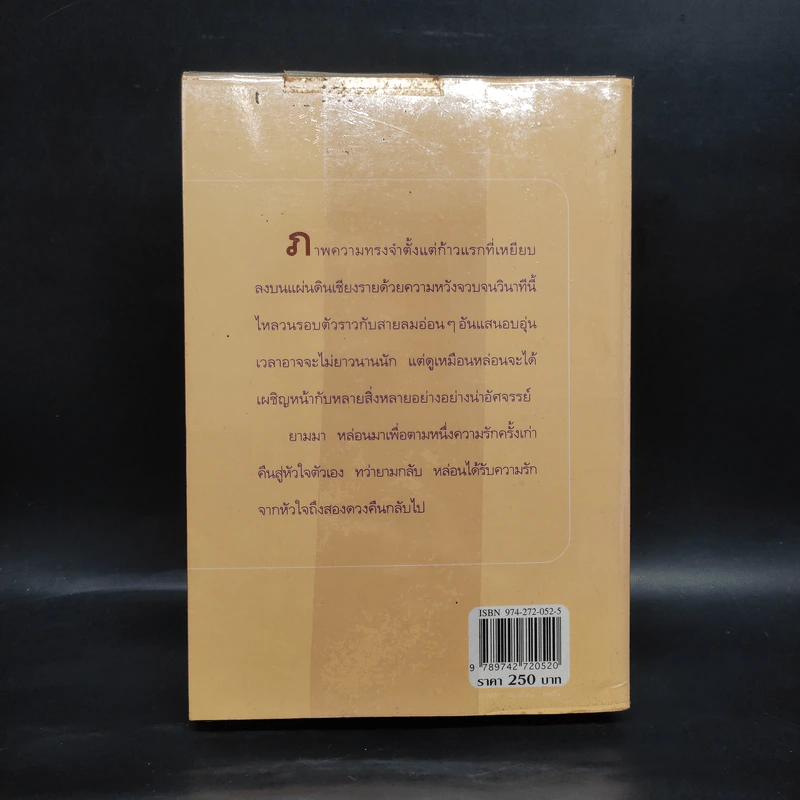 ตามรักคืนใจ - กิ่งฉัตร รูปที่ 2