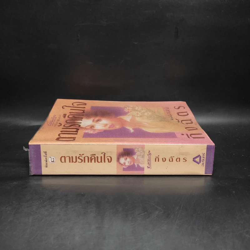 ตามรักคืนใจ - กิ่งฉัตร รูปที่ 3