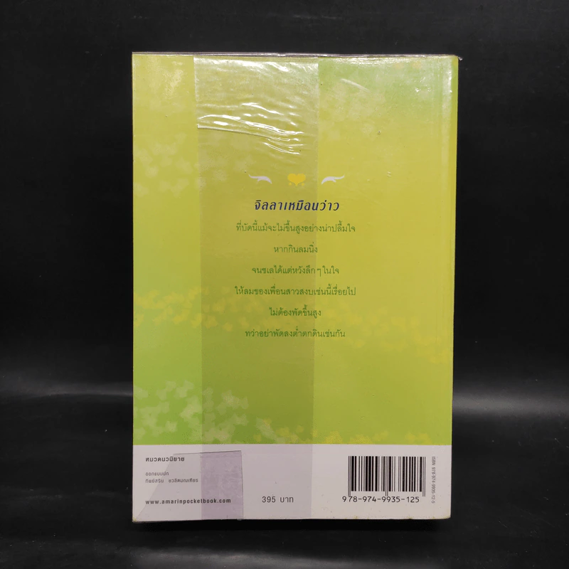 ลำเนาลม - กิ่งฉัตร รูปที่ 2