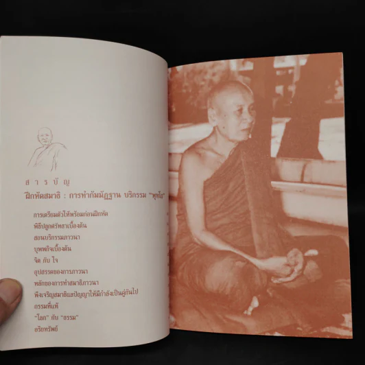 คำสอนหลวงปู่เทสก์ เทสรังสี ฝึกหัดสมาธิ การทำกัมมัฏฐานบริกรรม พุทโธ รูปที่ 6