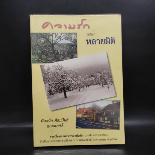 ความรักหลายมิติ - ศันสนีย ศีตะปันย์ เมอลเลอร์ รูปที่ 1