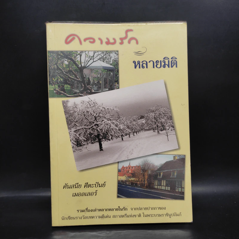 ความรักหลายมิติ - ศันสนีย ศีตะปันย์ เมอลเลอร์ รูปที่ 1