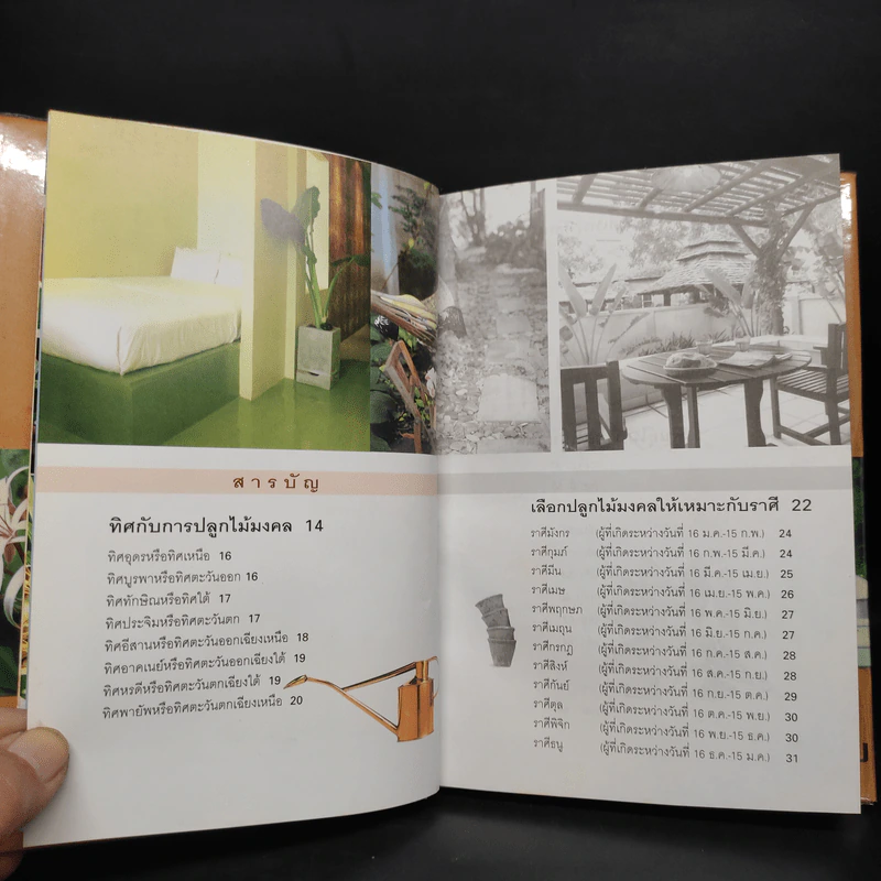 พันธุ์ไม้แห่งโชคลาภ วาสนา บารมี - เจตน์ จิระกูล รูปที่ 8