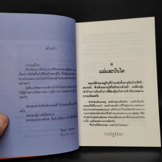 บานไม่รู้โรย - ปินดา โพสยะ รูปที่ 6