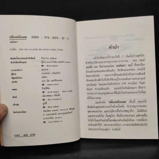 ปล้นเหนือเมฆ - มนันยา รูปที่ 5