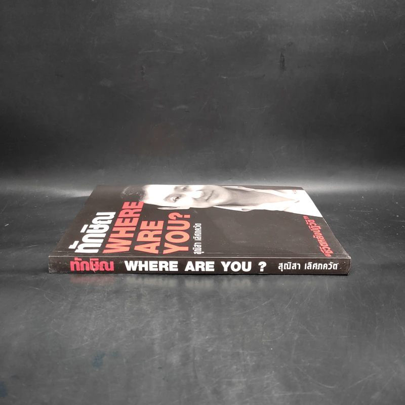 ทักษิณ Where Are You ชีวิตหลังปฎิวัติ - สุณิสา เลิศภควัต รูปที่ 3