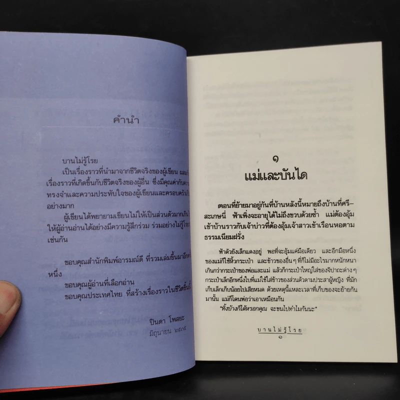 บานไม่รู้โรย - ปินดา โพสยะ รูปที่ 6