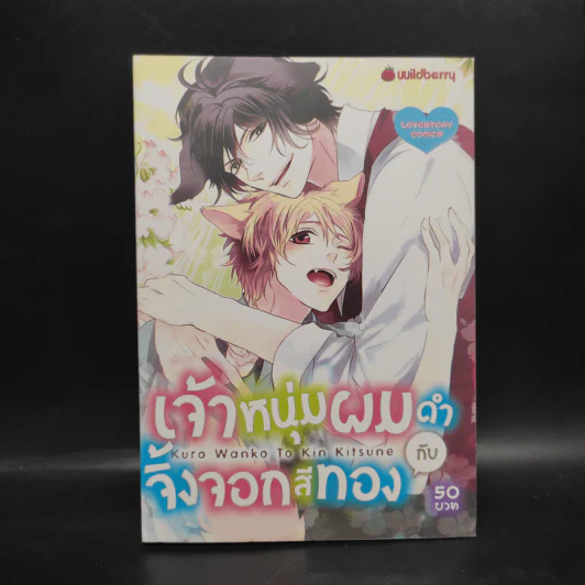 การ์ตูนวาย เจ้าหนุ่มผมดำกับจิ้งจอกสีทอง รูปที่ 1