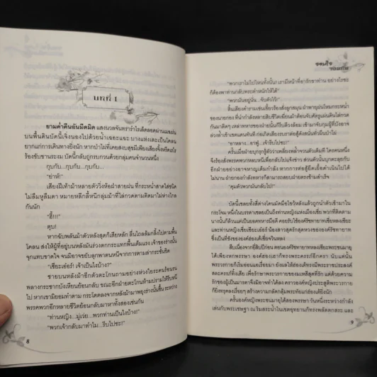 จอมใจจอมทัพ - ซิงเหอ รูปที่ 7