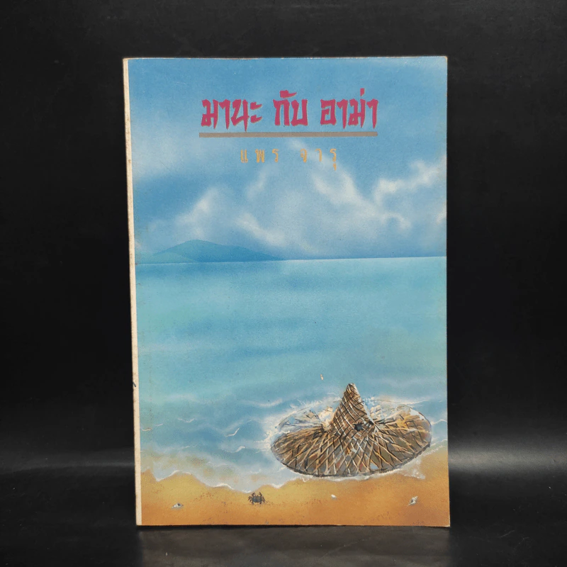 มานะกับอาม่า - แพร จารุ รูปที่ 1