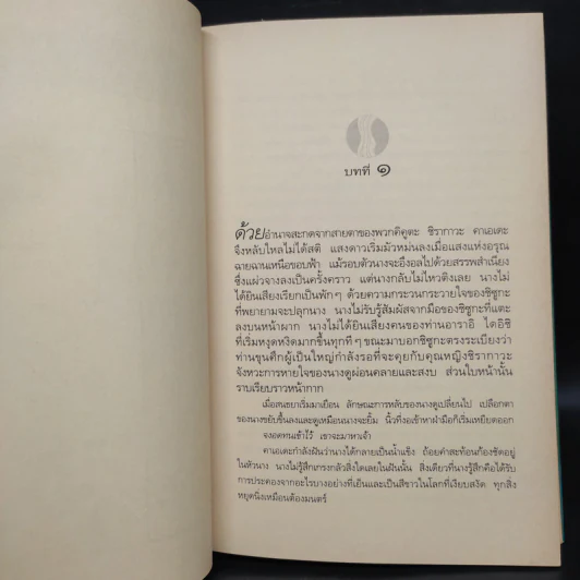 วิหคหลงรัง - ลิอัน เฮิร์น รูปที่ 7