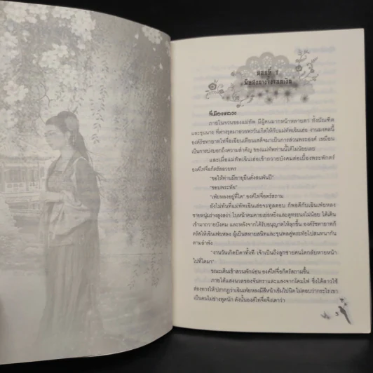 ศึกรักนางพญา - ซื่อเหม่ยลี่ รูปที่ 6