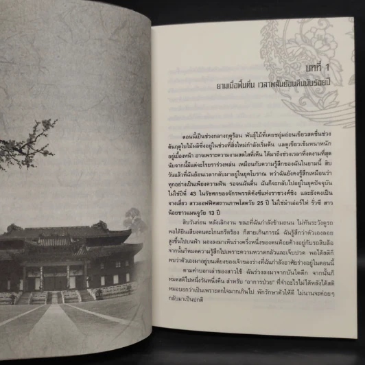 เจาะมิติพิชิตบัลลังก์ เล่ม 1-2 - ถงหัว รูปที่ 6