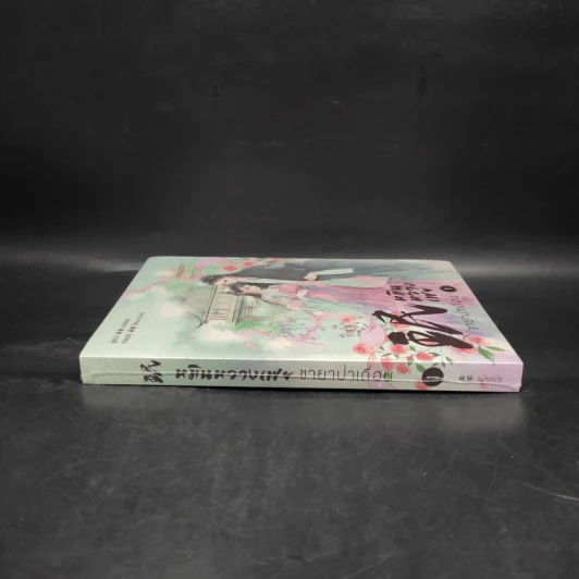 หมินหวางเฟย ชายาป่าเถื่อน เล่ม 1 - เม่ยเม่ย รูปที่ 3