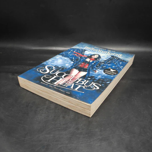 Succubus Dreams เพลิงทัณฑ์อเวจี - ริเชลล์ มี้ด รูปที่ 4