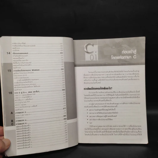คู่มือเขียนโปรแกรมด้วยภาษาซี ภาษา C - นิรุธ อำนวยศิลป์ รูปที่ 8