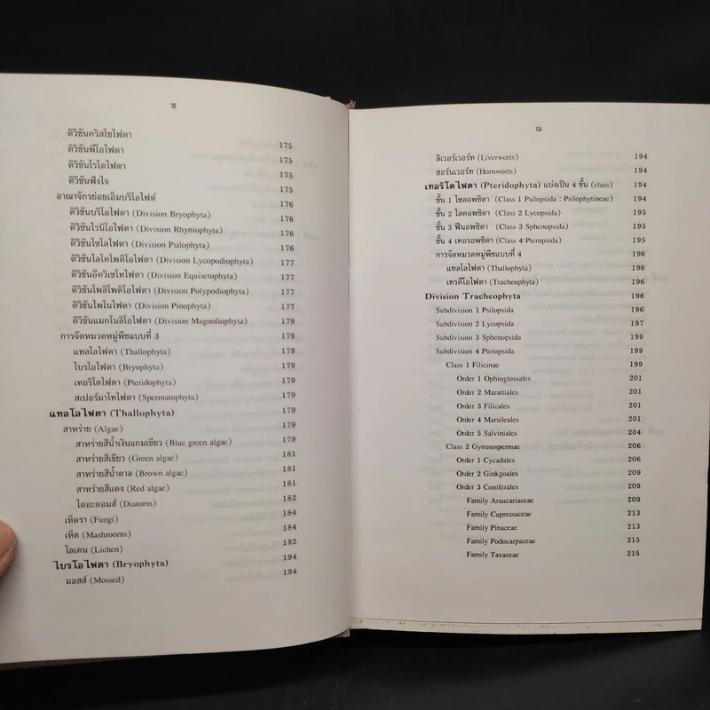 การตรวจเอกลักษณ์พืชสมุนไพร ภาคพิเศษ รูปที่ 10