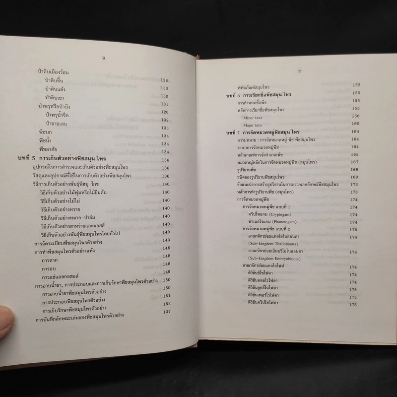 การตรวจเอกลักษณ์พืชสมุนไพร ภาคพิเศษ รูปที่ 9