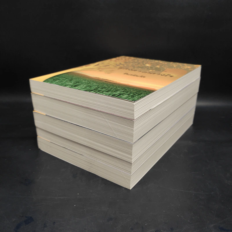 นวนิยายชุด ลูกไม้ของพ่อ Boxset 5 เล่มจบ รูปที่ 4
