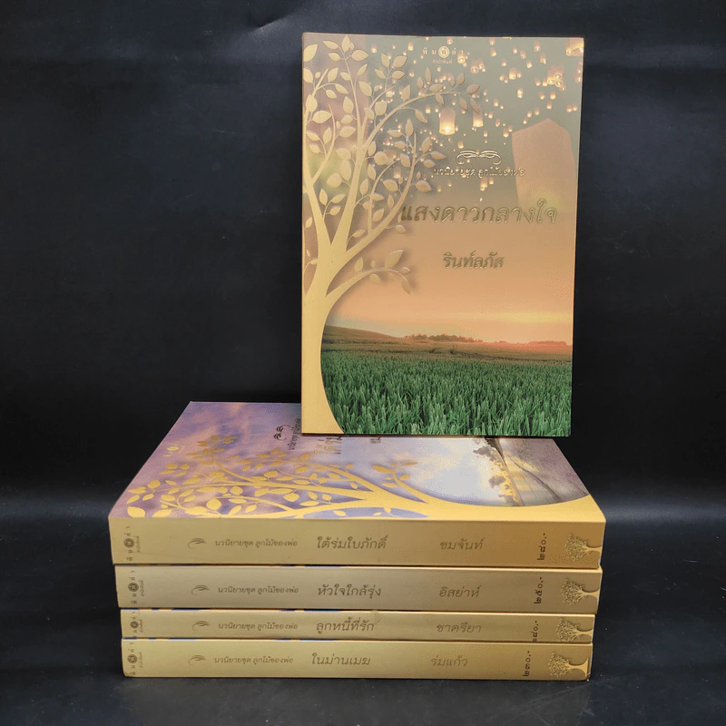 นวนิยายชุด ลูกไม้ของพ่อ Boxset 5 เล่มจบ รูปที่ 3