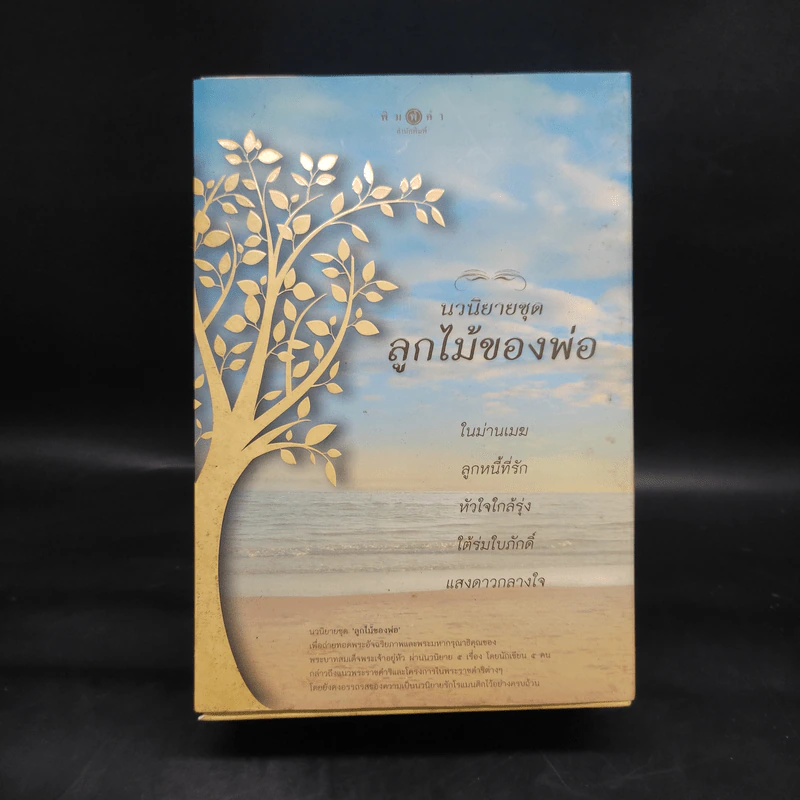 นวนิยายชุด ลูกไม้ของพ่อ Boxset 5 เล่มจบ รูปที่ 2