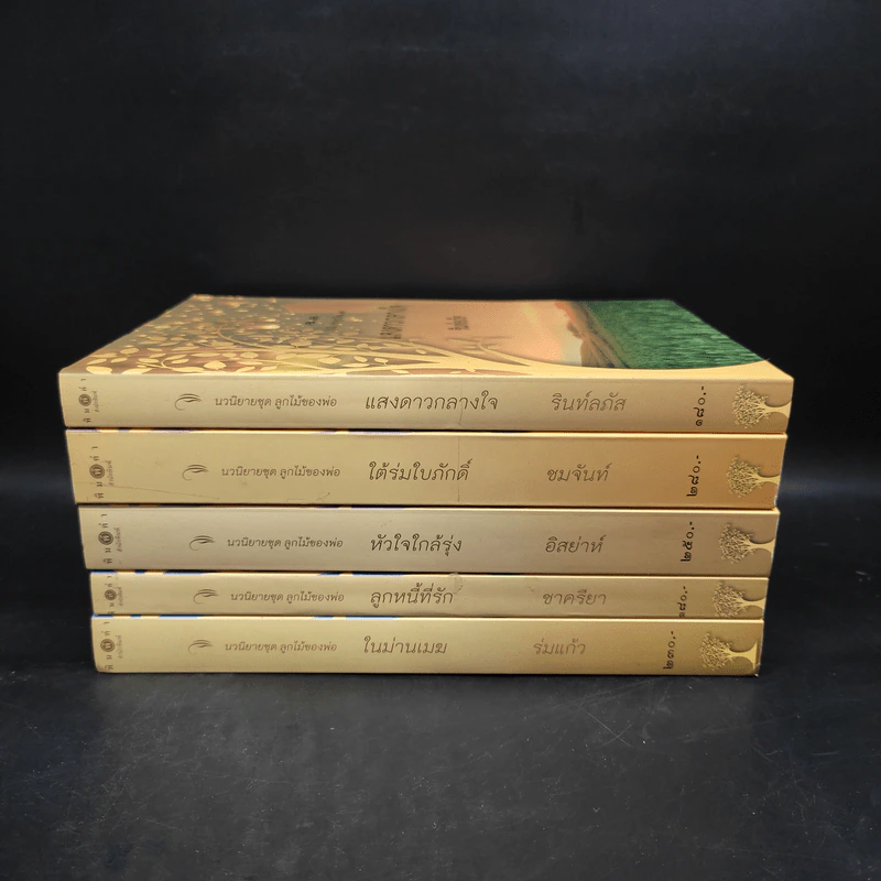 นวนิยายชุด ลูกไม้ของพ่อ Boxset 5 เล่มจบ รูปที่ 5