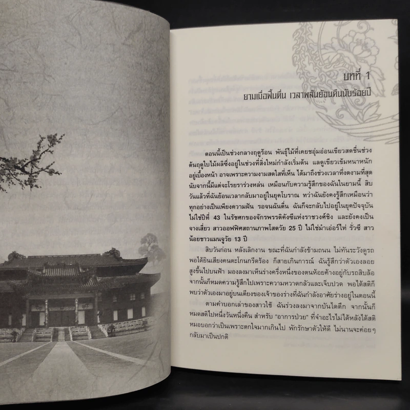 เจาะมิติพิชิตบัลลังก์ เล่ม 1-2 - ถงหัว รูปที่ 6