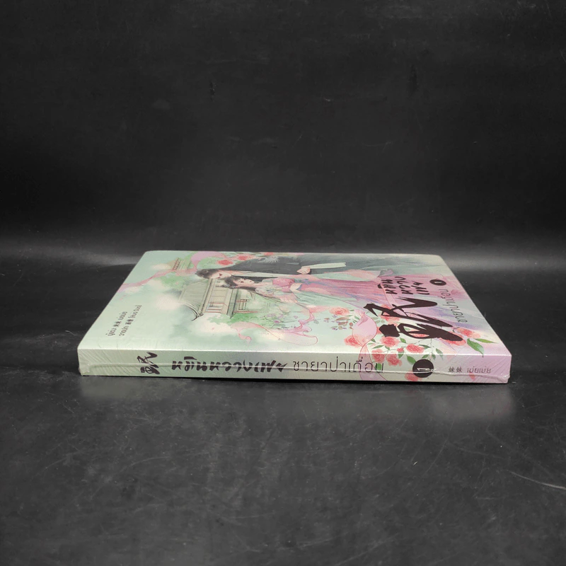 หมินหวางเฟย ชายาป่าเถื่อน เล่ม 1 - เม่ยเม่ย รูปที่ 3