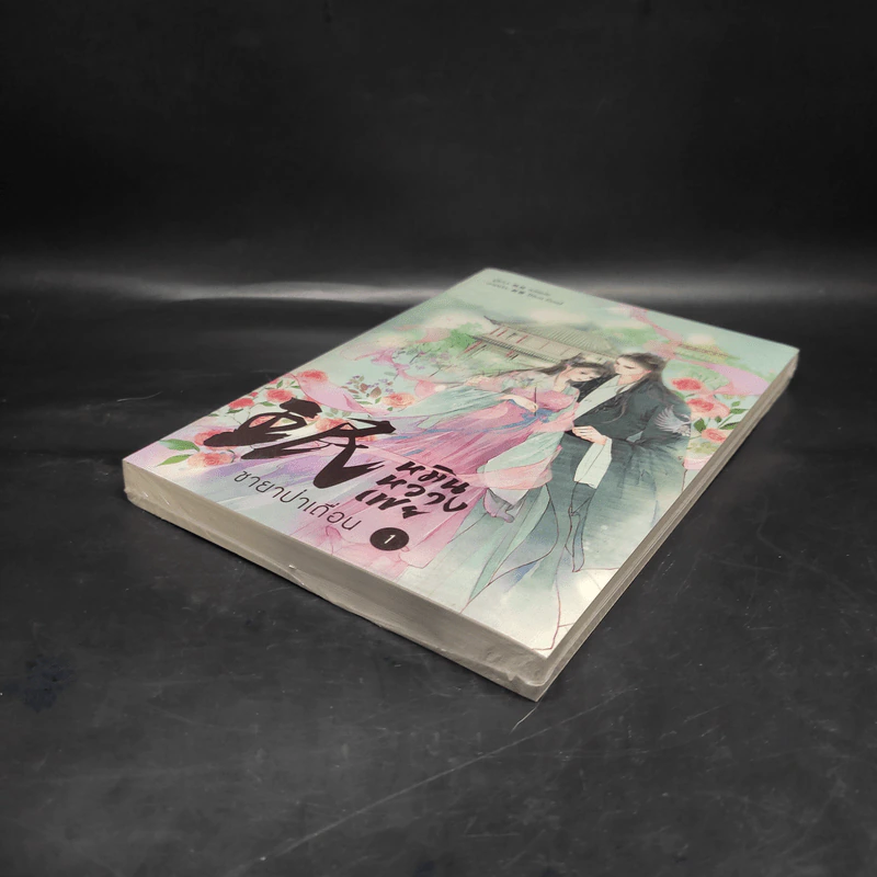 หมินหวางเฟย ชายาป่าเถื่อน เล่ม 1 - เม่ยเม่ย รูปที่ 4