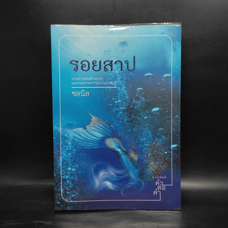 รอยสาป - ชลนิล รูปที่ 1