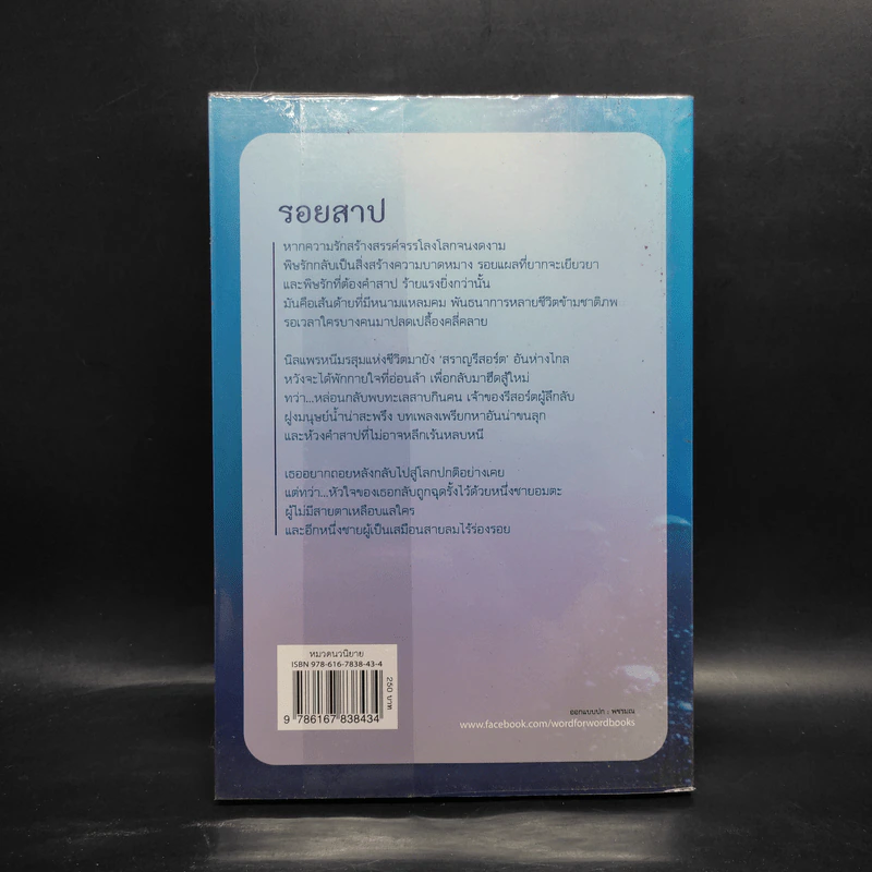 รอยสาป - ชลนิล รูปที่ 2